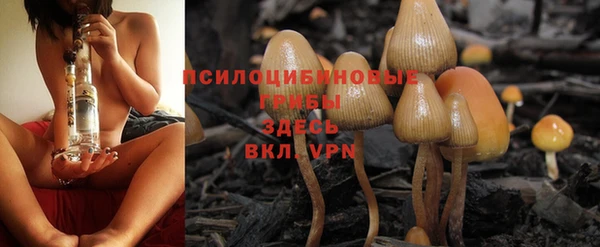 круглые Болохово