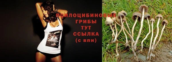 гашиш Болхов