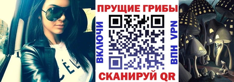 Галлюциногенные грибы MAGIC MUSHROOMS  наркошоп  Зеленокумск 