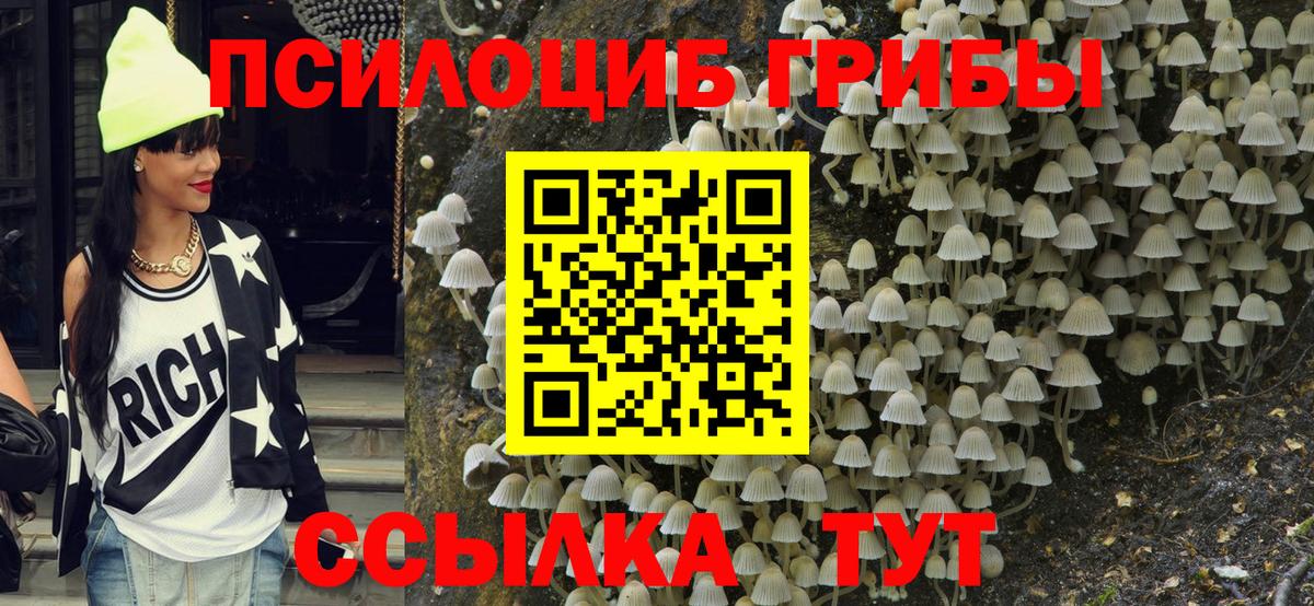 Зеленокумск  Псилоцибиновые грибы Psilocybe  Вход с VPN 